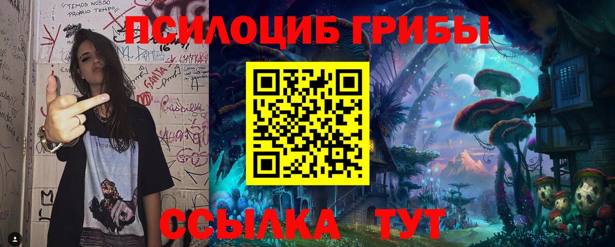 Псилоцибиновые грибы Psilocybine cubensis  Вход с VPN  Хасавюрт  Псилоцибиновые грибы Psilocybine cubensis 